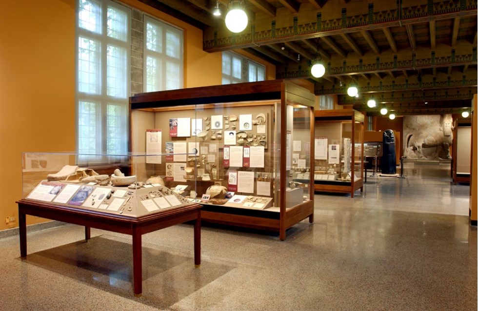 云顶集团4008(中国区)官方网站