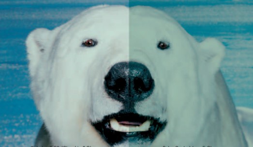 云顶集团4008(中国区)官方网站