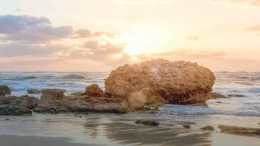 云顶集团4008(中国区)官方网站