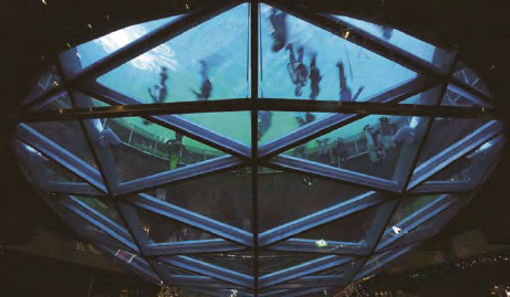 云顶集团4008(中国区)官方网站